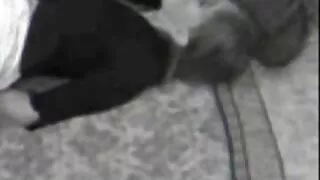 İlk bakışta, milf konulu pornolar o zaman karşılar