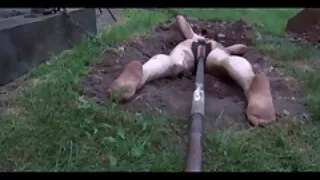 Büyük memeli konulu sex porno filmi 293