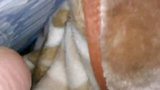 Yakın konulu mobil porno indir çekim