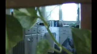 kamera sex video konulu